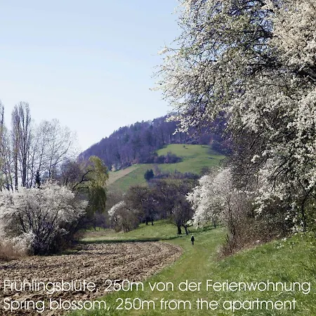 Passivhaus 750m Vom Bodensee -- 2x E-bike Inklusive -- Neubau 2019 Am Ortsrand Apartment